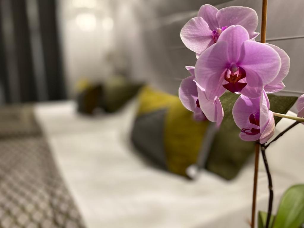 Brit Hotel Acacias Arles Ngoại thất bức ảnh