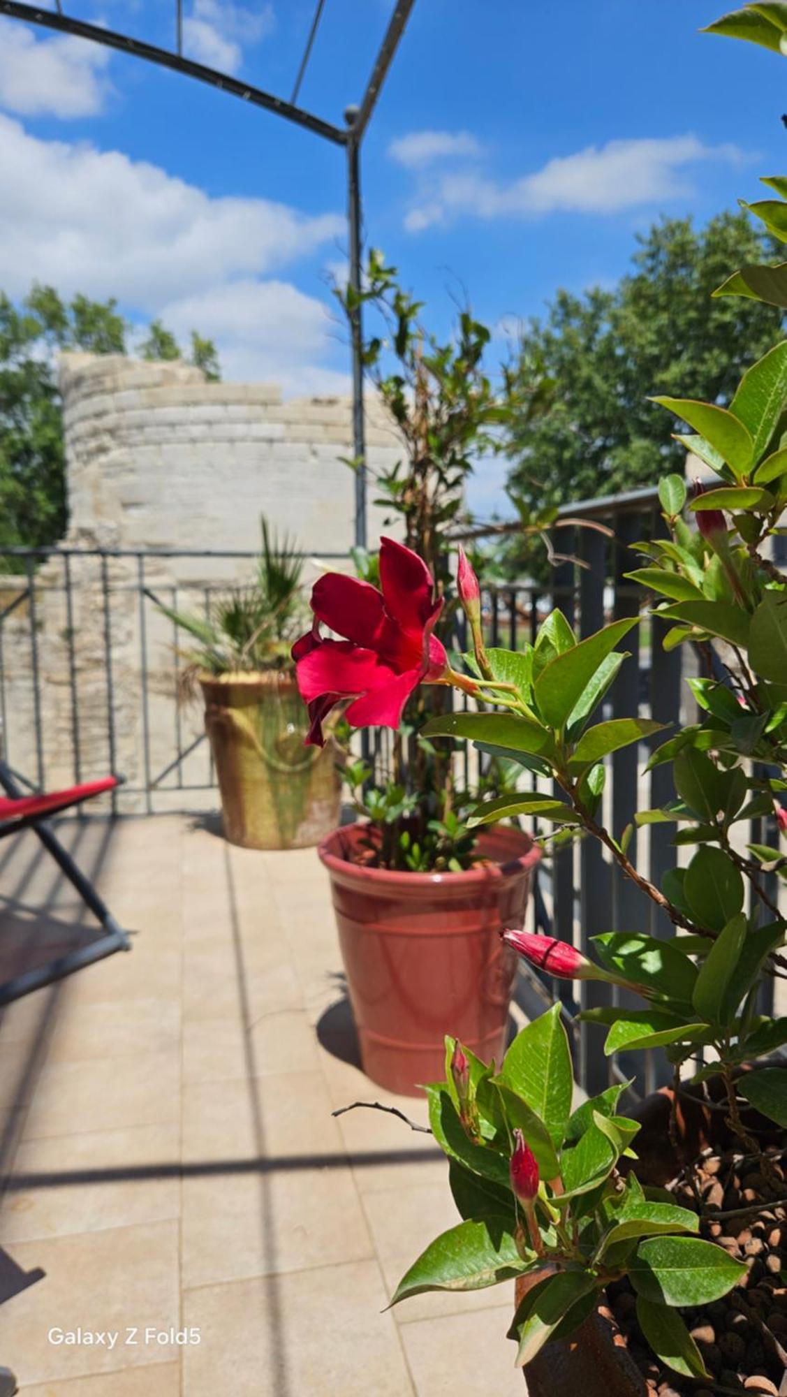 Brit Hotel Acacias Arles Ngoại thất bức ảnh